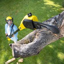 Best Organic Lawn Care Solutions  in New Carlisle, OH